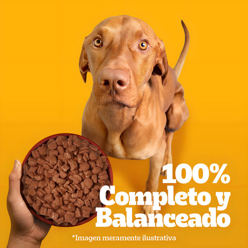 Pedigree Alimento Húmedo Sobrecito Perro Adulto Carne 12un