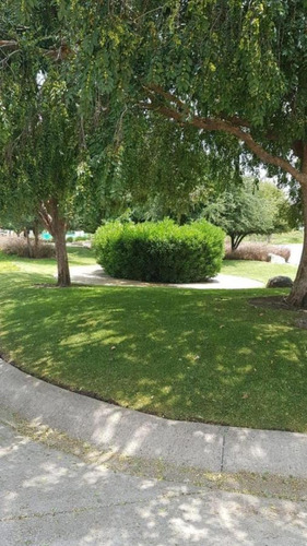 Imagen 8 de 10 de Terreno En Venta - El Molino Residencial- $2,980,000 - Zona Norte - Condominio Xiv - León Gto.