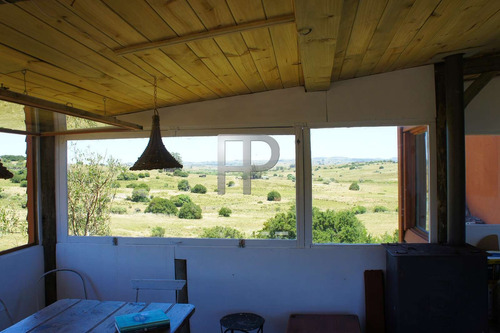 Imagen 12 de 14 de Chacra En Venta San Carlos 4 Dormitorios, 16 Hectáreas