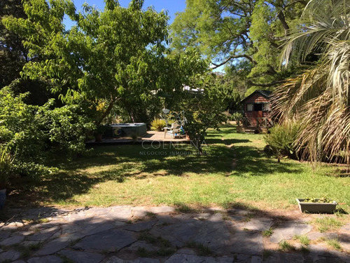 Muy Linda Casa Con Espectacular Terreno De 6000 Mts2 Parquizados!