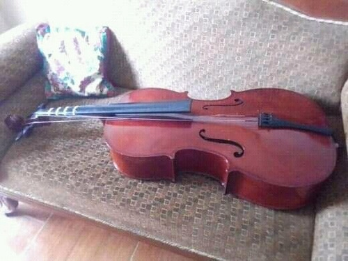 Imagen 4 de 10 de Oferta Cello 3/4,.en Excelentes Condiciones