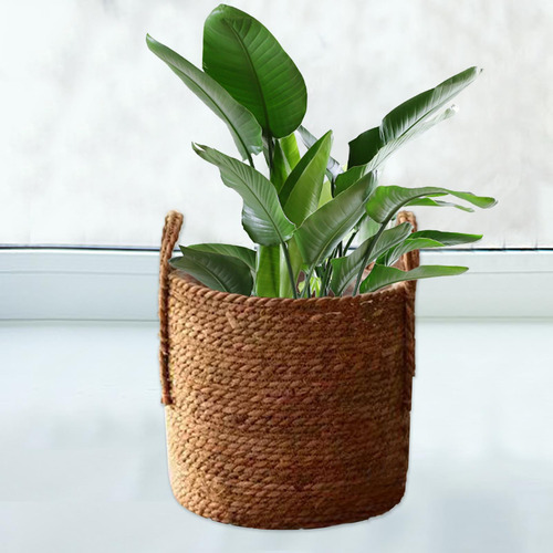 Cesta Tejida Para Macetas, Cesta Para Flores, Cesta De