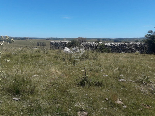 Imagen 2 de 16 de Campo En Carape - Departamento De Maldonado - Carape