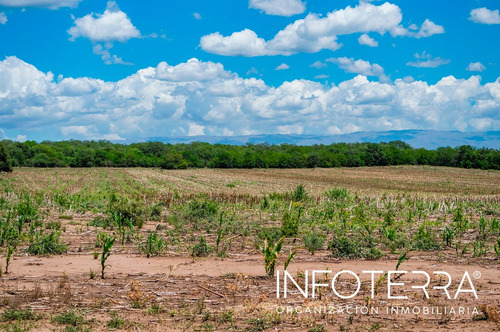 Imagen 11 de 14 de Lote En Venta Calamuchita Vista De San Ignacio