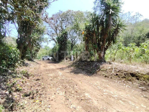 Venta Terreno 1387.409 M2 Rustico Con Escritura, Zona Universitaria A 9 Min