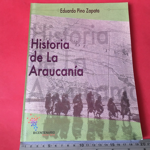 Historia De La Araucanía Eduardo Pino Mapuches Temuco