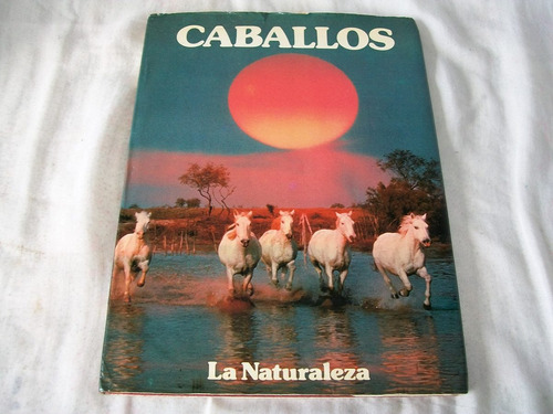 Caballos · La Naturaleza · Miguel Ángel Clavero