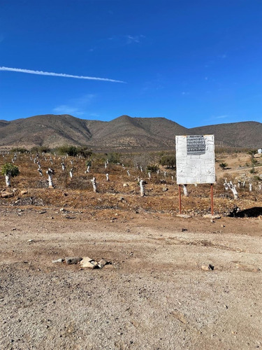 Terreno Agrícola 47 Hás Illapel Sin Comisión De Corretaje