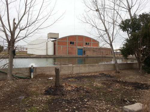 Imagen 6 de 10 de 77 Has - Bodega Y Viñedos - Ugarteche