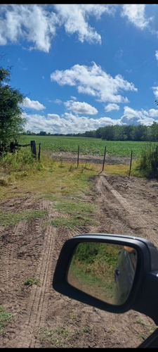 Campo 27 Hectareas Rosario Del Tala Soja Trigo Sorgo