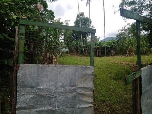 Imagem 12 de 12 de Chácara Em Itariri A 300 Metros Da Rodovia 1000² 20 Vagas.