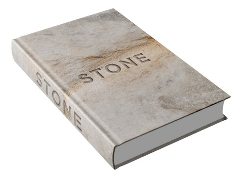 Livro Caixa G Stone