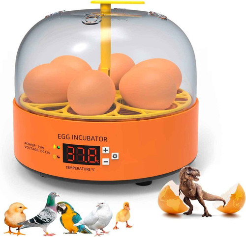 Mini Incubadora Chocadeira Ovos Galinha Pato Semi Automática 110V/220V