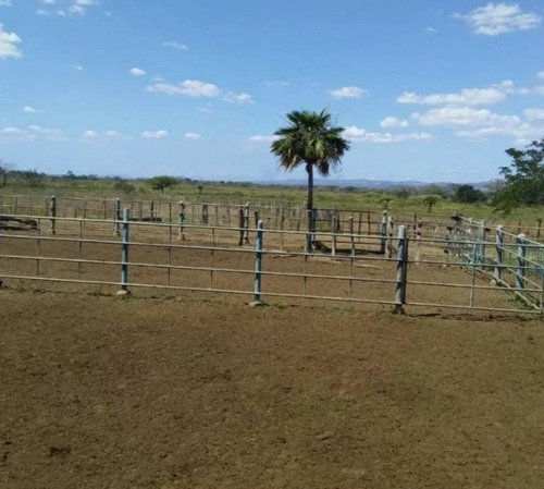 Imagen 1 de 1 de Finca En El Pao Cod. Indif-071