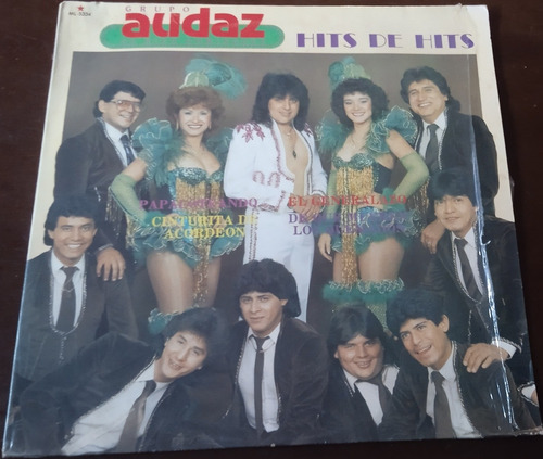 Grupo Audaz De Rigo Domínguez - Hits De Hits Lp Buen Estado