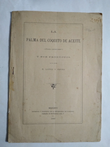 La Palma Del Coquito De Aceite Y Sus Productos 1910
