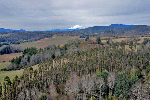 Parcela Oferta - Loncoche / Villarrica (73023)