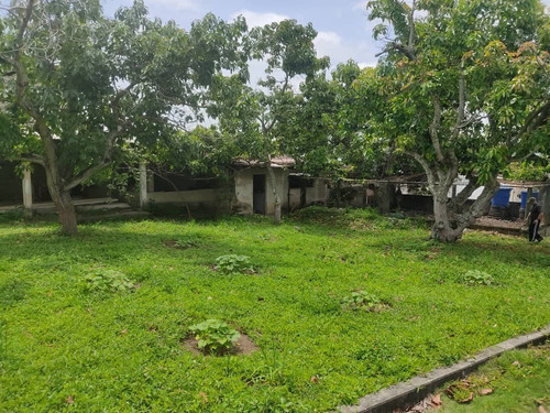 Imagen 3 de 14 de Vendo Finca San Felipe Dt