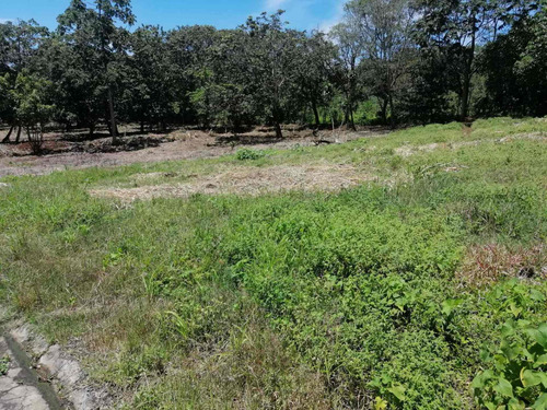 Imagen 5 de 7 de Venta De Lote