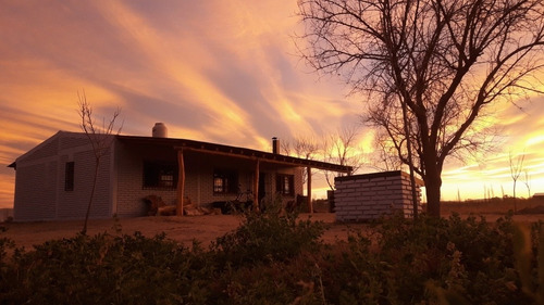 Imagen 14 de 19 de Finca Con Casa En Venta En San Rafael Mendoza, Rama Caida