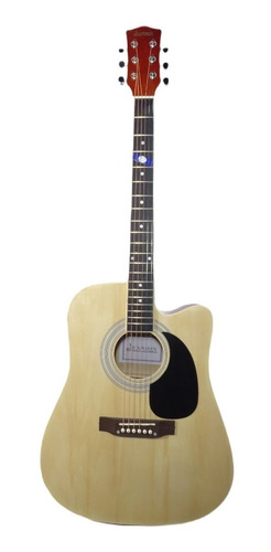 Guitarra Electroacustica Jendrix Tae-006 Profesional Texana 