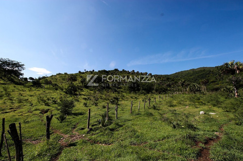 Rancho Ganadero En Venta  El Tecuán Ll 