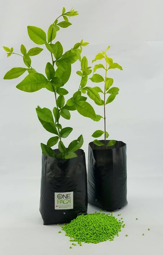 Bolsas Para Vivero