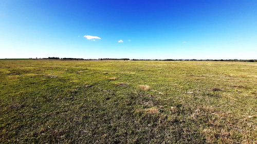 Imagen 12 de 18 de Hermosas Chacras Campos De 3 Hectareas En Tala