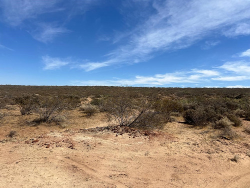 Venta Campo, Terreno, Senillosa, Confluencia, Neuquén, Añelo, Vaca Muerta, Ruta 22, Parque Industrial, Patagonia