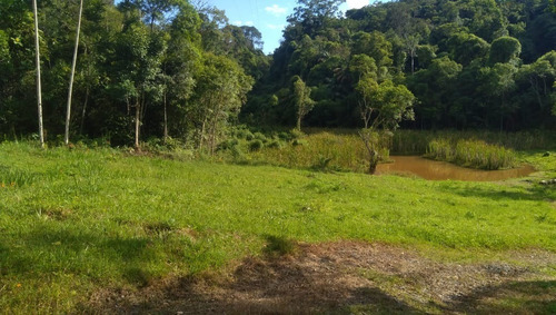 Imagem 8 de 30 de Chácara 20.000 M² C/lindo Chalé De Madeira A 1,5 Km Da Rodovia Em Juquitiba-sp