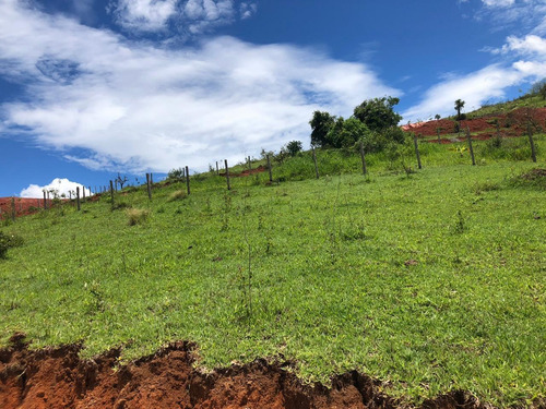 Imagem 1 de 3 de 1.000m2 Terreno Para Investimento/igarata
