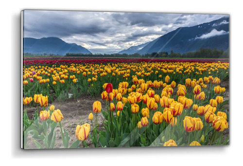 Cuadro De Acrílico Hermoso Paisaje De Tulipanes Amar 60x90cm