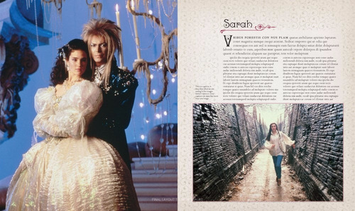 Livro - Labyrinth The Ultimate Visual History