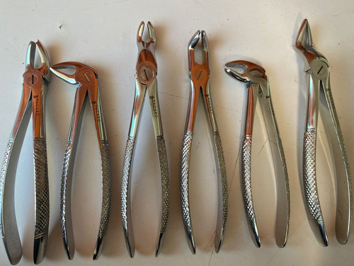 Fórceps Dentales Set De 6u Calidad Pacard Instruments Stgo.