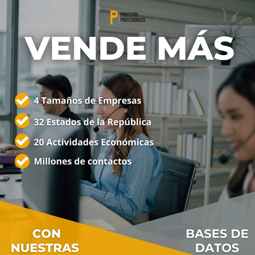 Base De Datos Empresarial México 2025 - Ppm