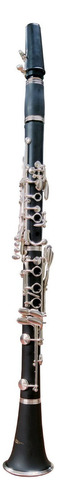 Clarinete Plateado Tonalidad Bb 17 Llaves Wesner Scl1000