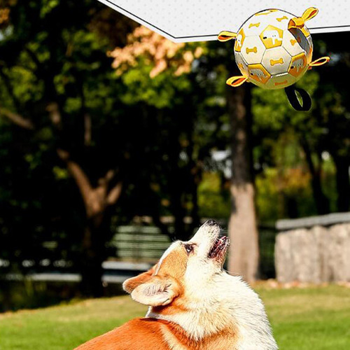 Pelota De FĂștbol De Goma Para Mascotas, Suministros Para S