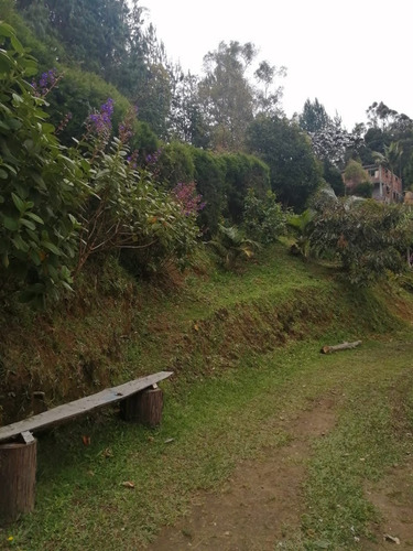 Finca En Venta En Guarne Guarne Vereda El Sango. Cod 4425