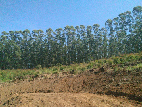 Imagem 7 de 10 de Pj* Os Lote Com Preço Especial Em Igaratá