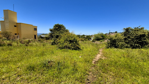 Hermoso Terreno En El Durazno (tanti)
