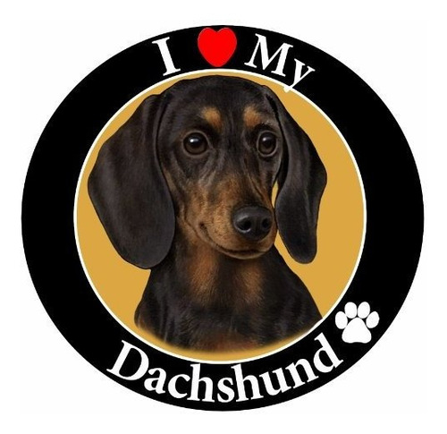 I Love My Dachshund  Black Car Magnet With Realistic Lookin