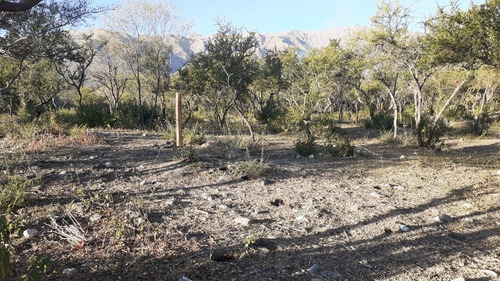 Imagen 3 de 5 de Lotes En Venta A Una Cuadra De Avenida Del Sol, Merlo.