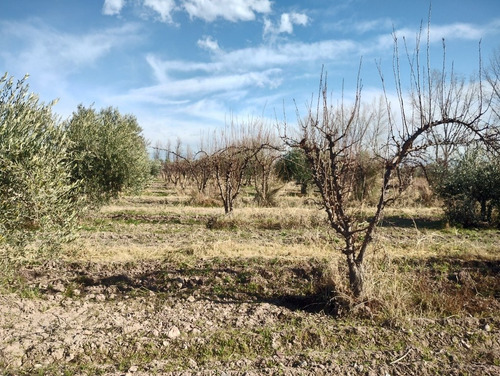 Imagen 7 de 11 de Terreno 10mts/2 Oportunidad