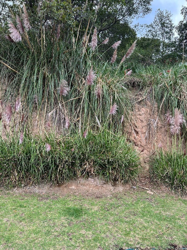 Condado De Sayavedra, Terreno A La Venta Cod. Vte773