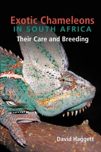 Exotic Chameleons In South Africa Their Care And Breeding