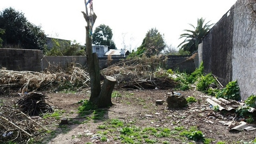 Imagen 8 de 9 de Casa Y Apartamento En Amplio Terreno