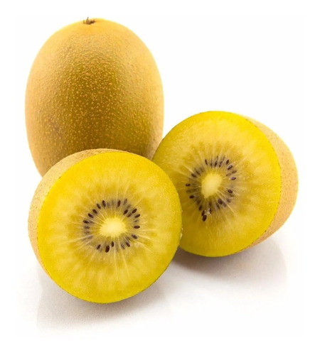 Sementes De Kiwi Gold Kiwi Ouro Rarissimas Frutiferas Mudas