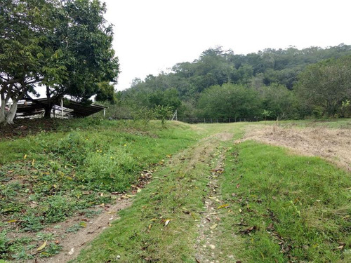 Venta Rancho Ganadero 103 Hectáreas Carretera Tuxpan -tampico