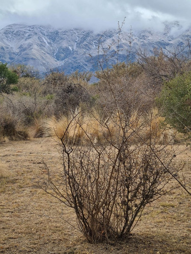 Vendo Lote En Carpinteria