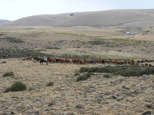 Imagen 8 de 10 de Campo En Santa Cruz Argentina 35000has Ganadero Agricola Tosquera